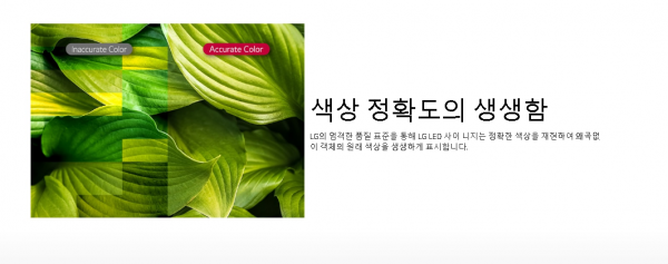 bc9bd66e95a2dee23d6c7c608783b74c_1589435702_2542.png
