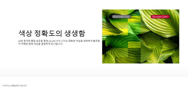 bc9bd66e95a2dee23d6c7c608783b74c_1589439144_1791.png